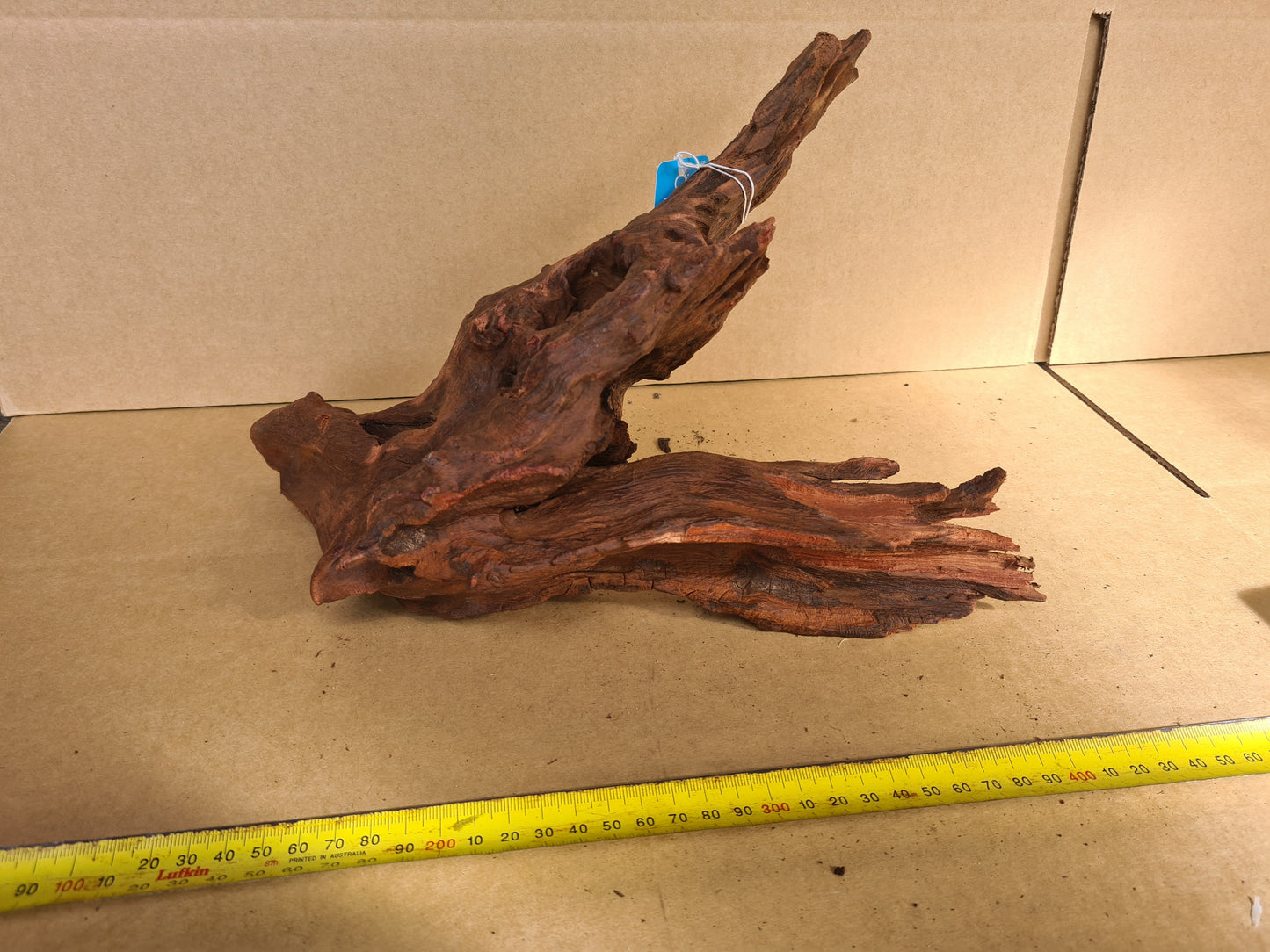 Aqua Natural Mekong River Driftwood Medium Piece