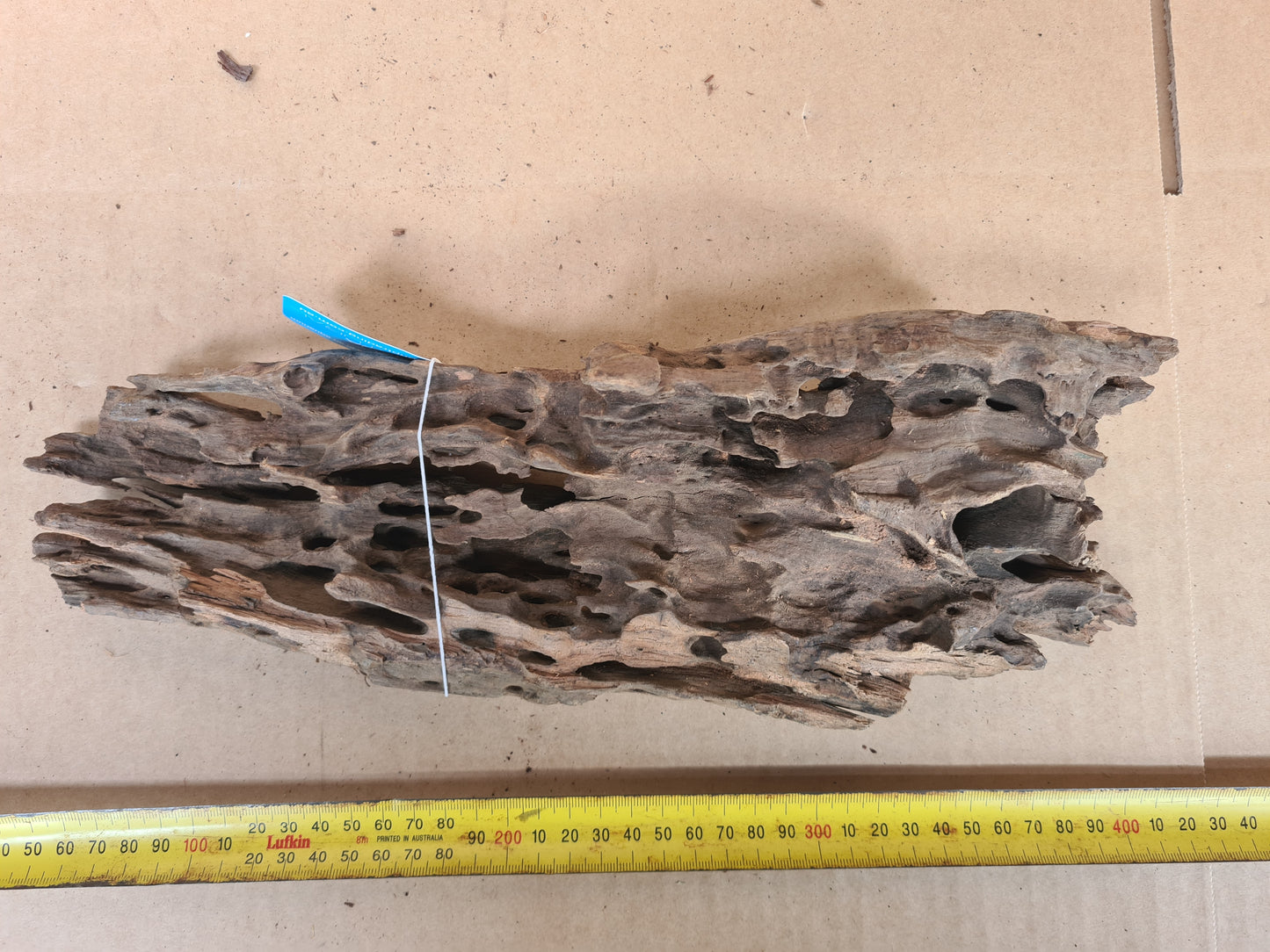 Aqua Natural Honeycomb Driftwood Medium Piece