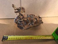 DALUA Coral Wood Driftwood Small Piece