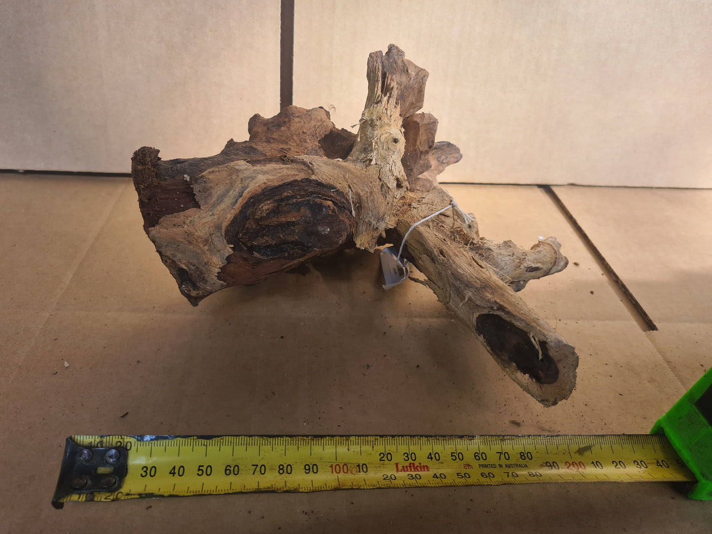 DALUA Coral Wood Driftwood Medium Piece