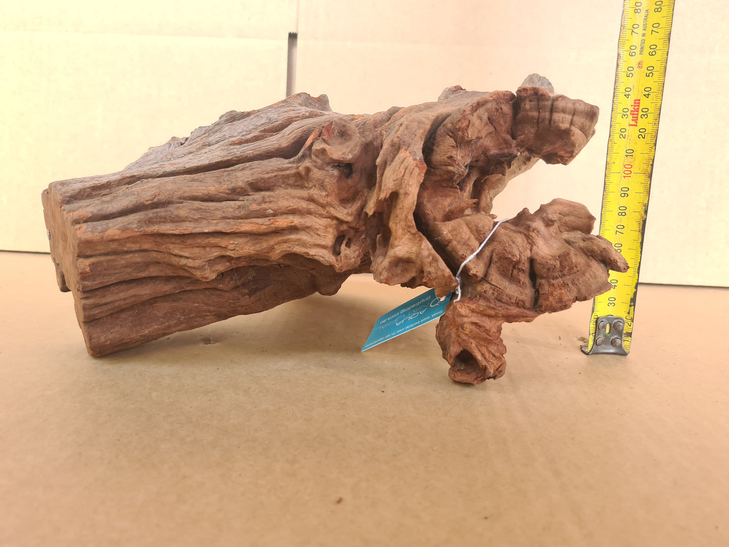 Aqua Natural Wizard Driftwood Medium Piece