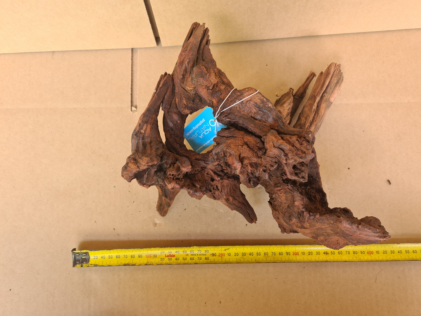 Aqua Natural Mekong River Driftwood Medium Piece