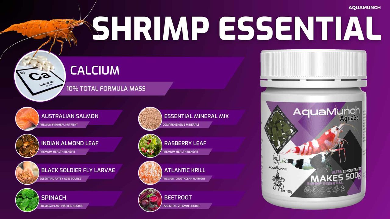 AquaMunch AquaGel Shrimp Essential 100g “Makes 500g”