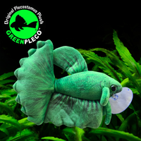 17cm Grun Betta/Siamese Fighting Fish Plushie