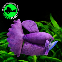 17cm Violeta Betta/Siamese Fighting Fish Plushie