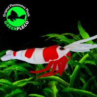 15cm Crystal Red Shrimp Plushie