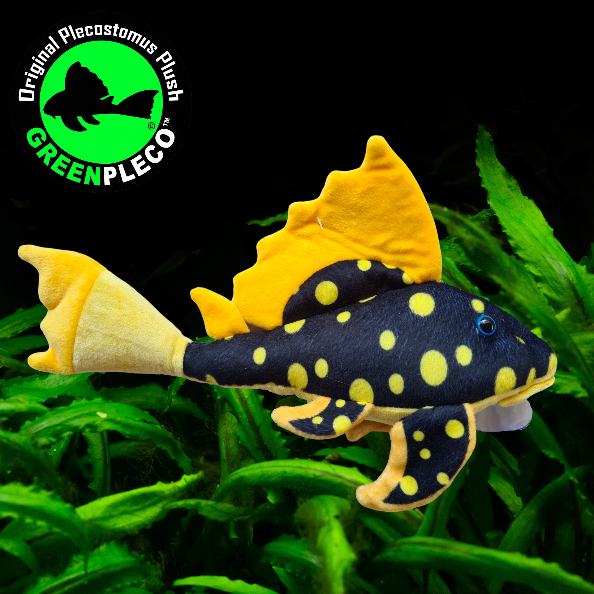 Pleco toy 2024