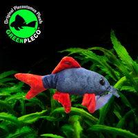 15cm Rainbow Shark Plushie