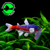 19cm Cardinal Neon Tetra Plushie