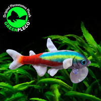 19cm Day Neon Tetra Plushie